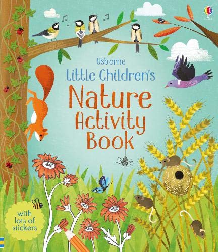 Nature Activity Book Usborne Paperback