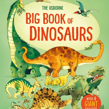 Big Book of Dinosaurs Usborne (Hardback)