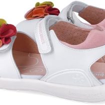 41Xo3igoO+L._AC_SY695_