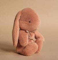 Medium Bunny Plush 2