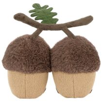 Acorn 1