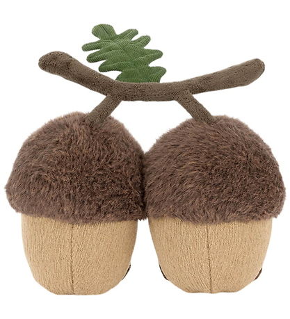 Acorn 1