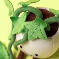 Ivy 2