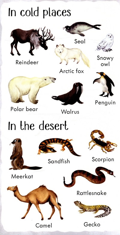 199 Animals 1