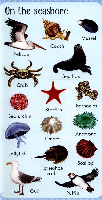 199 Animals 2
