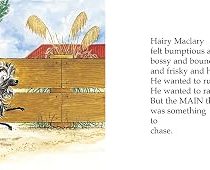 Hairy Maclary Scattercat