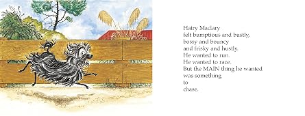 Hairy Maclary Scattercat