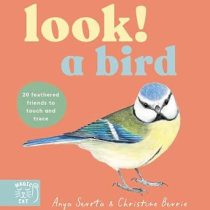 Look! a bird