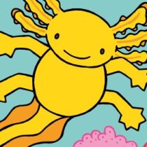 Thats Not My Axolotl 1