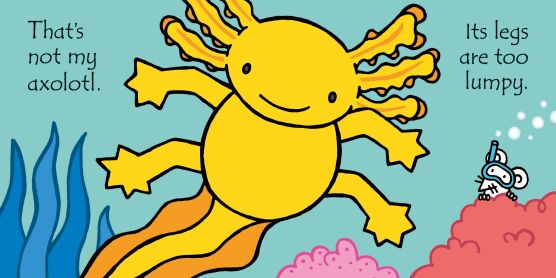 Thats Not My Axolotl 1