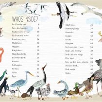 The Big Book of Birds 1