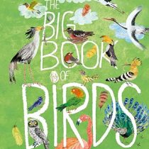 The Big Book of Birds
