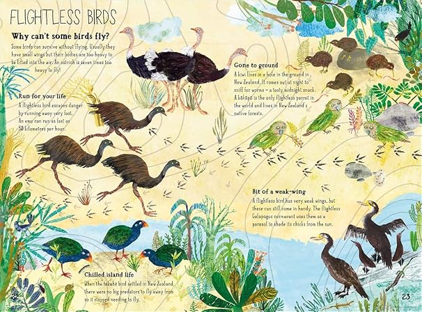 The Big Book of Birds 3