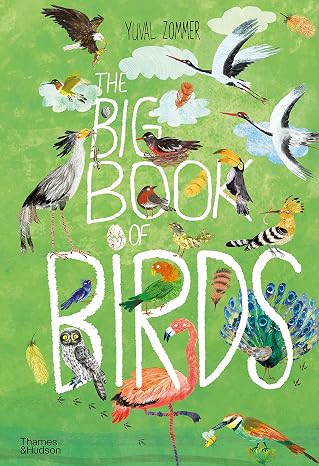 The Big Book of Birds (Hardback)