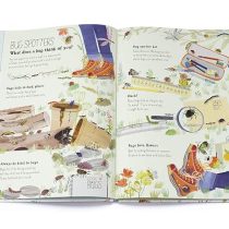 The Big Book of Bugs 1