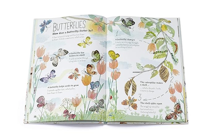 The Big Book of Bugs 2