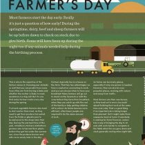 The Great Irish Farm Book 1