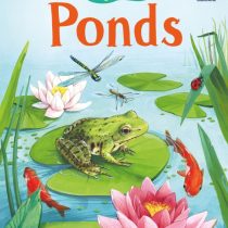 Usborne Beginners Ponds