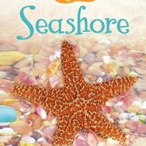 Usborne Beginners Seashore