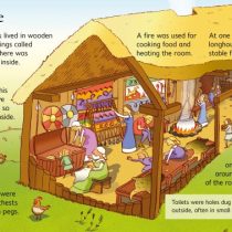 Usborne Beginners Vikings 1